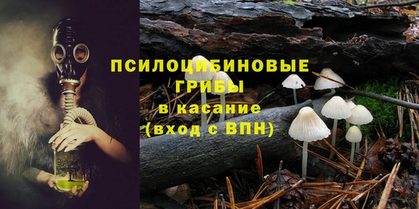 шишки Аркадак