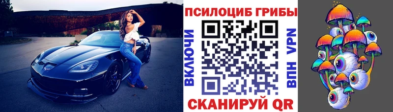 Галлюциногенные грибы Magic Shrooms  цена наркотик  Райчихинск 
